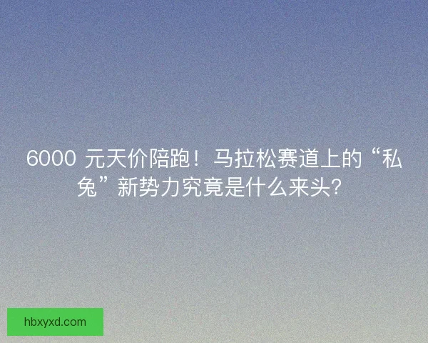 6000 元天价陪跑！马拉松赛道上的 “私兔” 新势力究竟是什么来头？