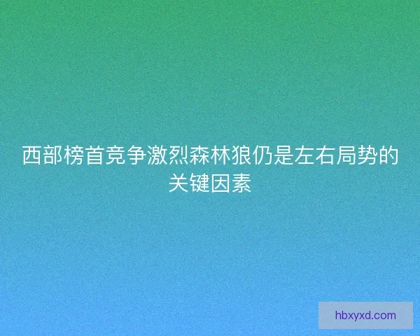西部榜首竞争激烈森林狼仍是左右局势的关键因素