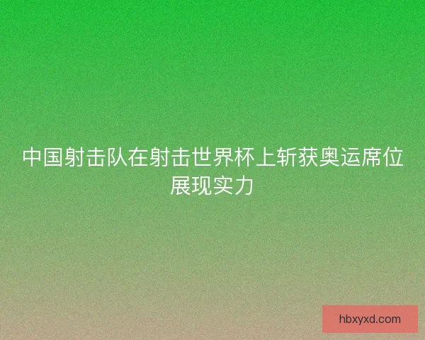 中国射击队在射击世界杯上斩获奥运席位展现实力