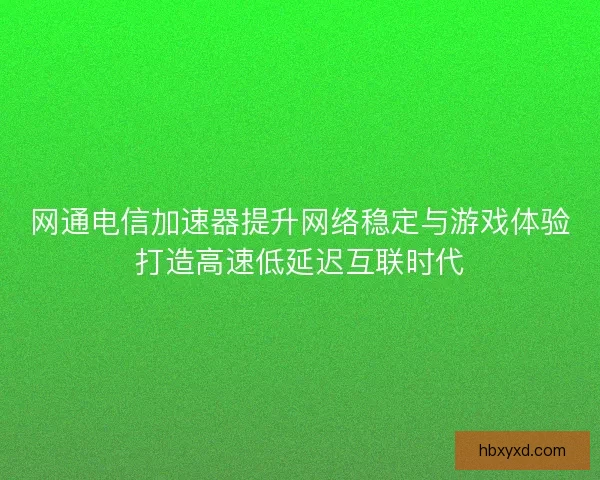 网通电信加速器提升网络稳定与游戏体验打造高速低延迟互联时代
